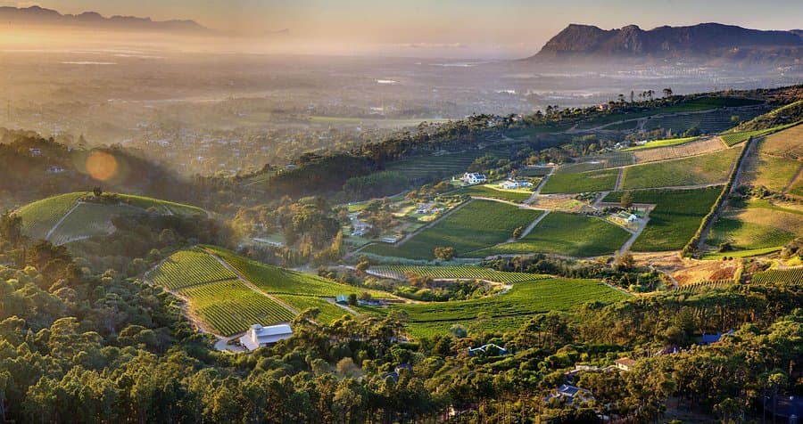 Constantia wine valley estates