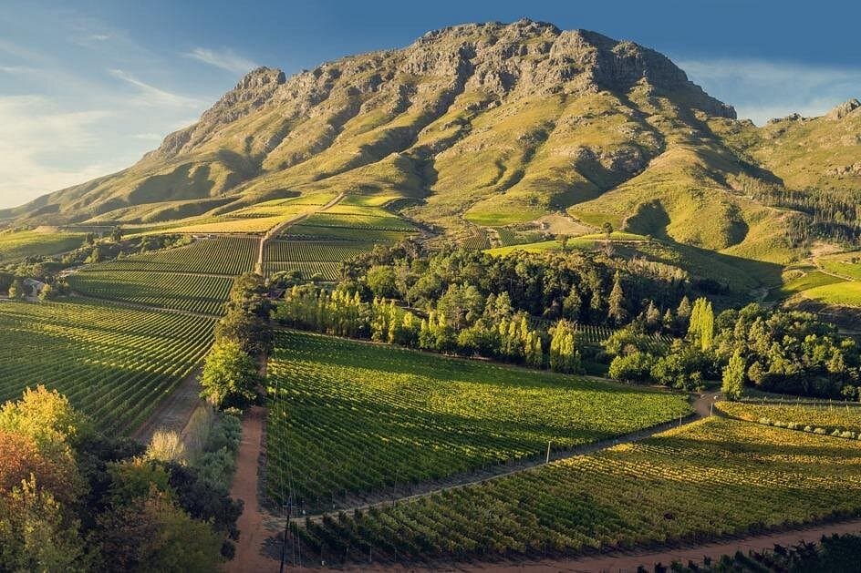 Stellenbosch wine region vineyard landscape